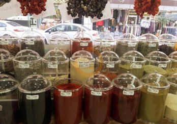 Efe Teşhir Ekipmanları