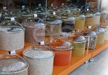 Efe Teşhir Ekipmanları