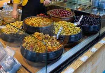 Efe Teşhir Ekipmanları