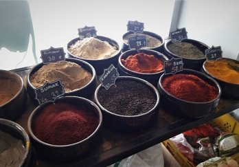 Efe Teşhir Ekipmanları