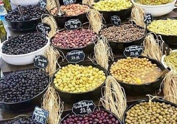 Efe Teşhir Ekipmanları