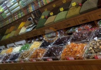 Efe Teşhir Ekipmanları