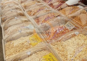 Efe Teşhir Ekipmanları