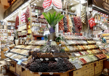 Efe Teşhir Ekipmanları