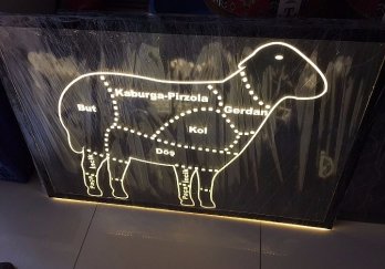 Efe Teşhir Ekipmanları