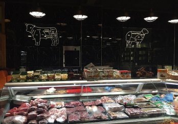 Efe Teşhir Ekipmanları