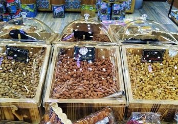 Efe Teşhir Ekipmanları