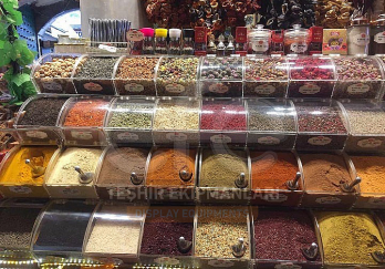 Efe Teşhir Ekipmanları