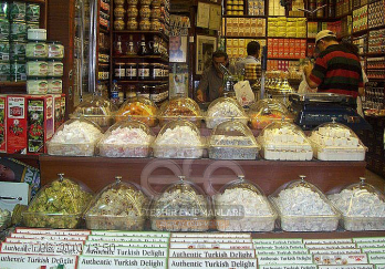 Efe Teşhir Ekipmanları
