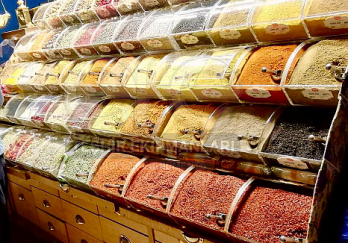 Efe Teşhir Ekipmanları