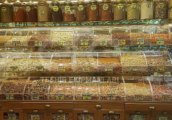 Efe Teşhir Ekipmanları