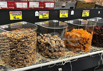Efe Teşhir Ekipmanları