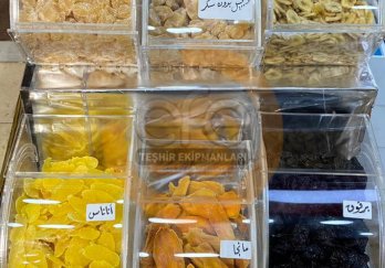 Efe Teşhir Ekipmanları