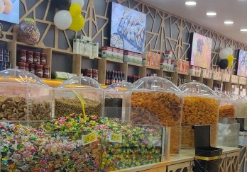 Efe Teşhir Ekipmanları