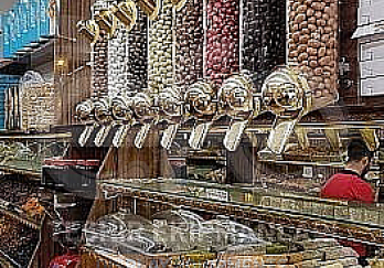 Efe Teşhir Ekipmanları