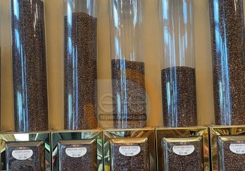 Efe Teşhir Ekipmanları