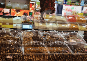Efe Teşhir Ekipmanları