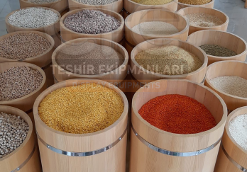 Efe Teşhir Ekipmanları