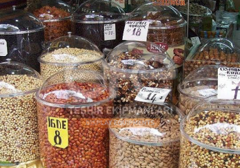 Efe Teşhir Ekipmanları