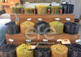 Efe Teşhir Ekipmanları